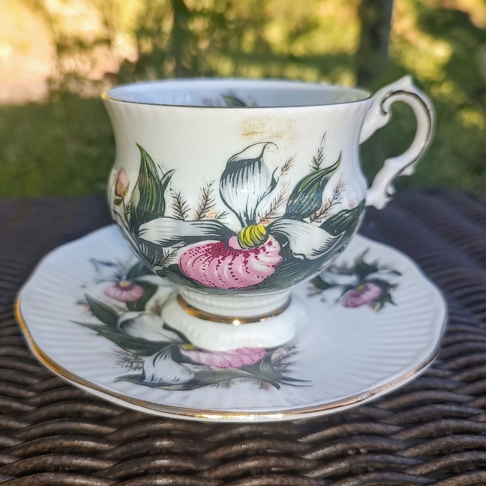Elizabethan Canadian Provincial Flowers Lady's Slipper Tea Cup & Saucer